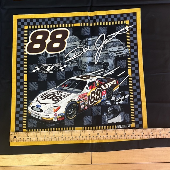 Dale Jarrett 2002 Pillow Panels 15x15 - Picture 5 of 6